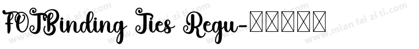 FOTBinding Ties Regu字体转换